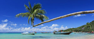 18-เกาะเต่า3-800x600