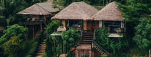 Khaosok Boutique Camps20
