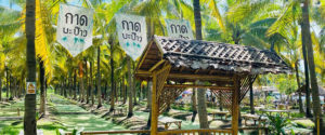 coconut-market02