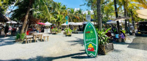 coconut-market03