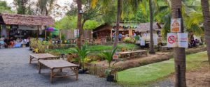 coconut-market05