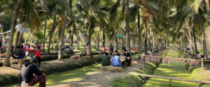 coconut-market07