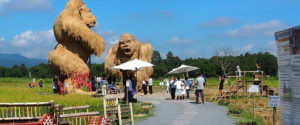 huay04