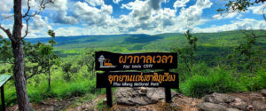 phuw01