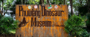 phuwieng04