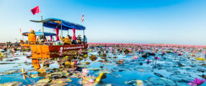 redlotus07