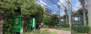 ee66h